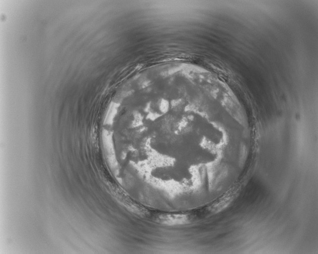 X0000054410361200508262302