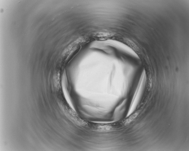 X0000054410376200508262303