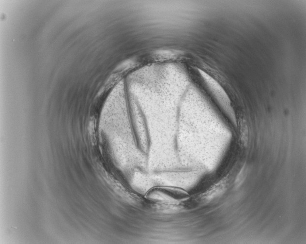 X0000054410378200508262303