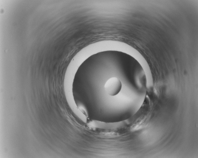X0000054410380200508262303