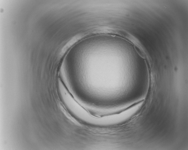 X0000054410389200508262302