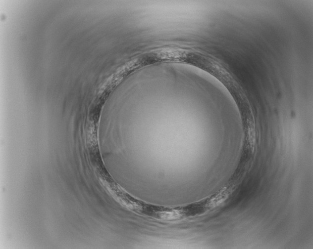X0000054410411200508262302