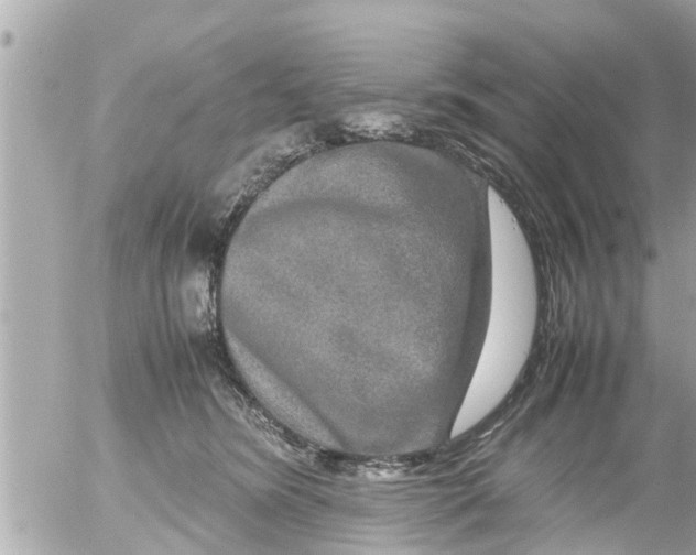 X0000054410420200508262301