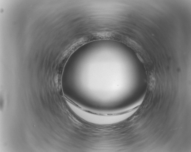 X0000054410428200508262301