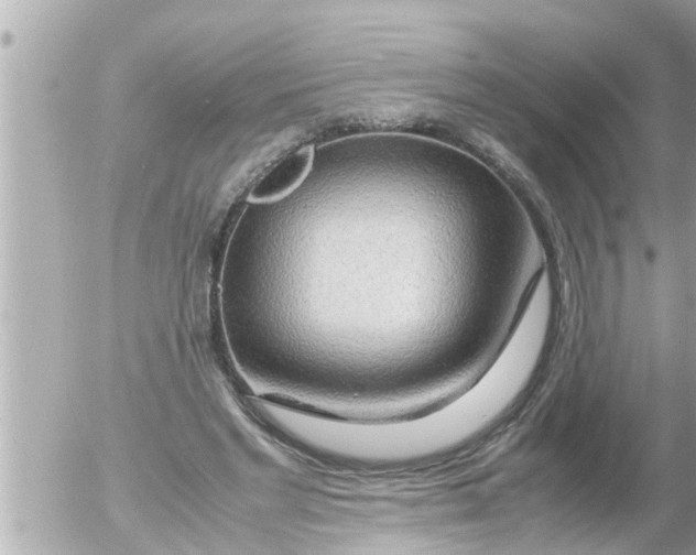 X0000054410493200508262300
