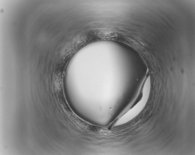 X0000054410515200508262300