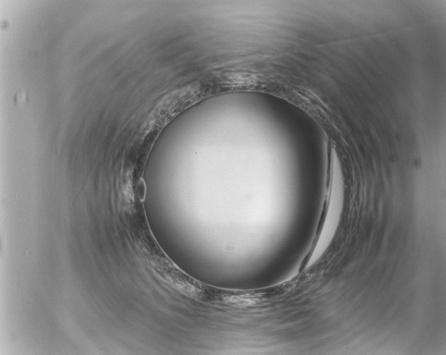 X0000054410516200508262300