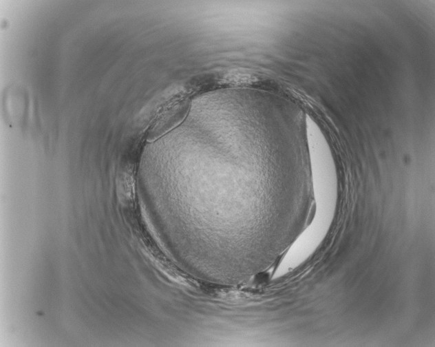 X0000054410517200508262300