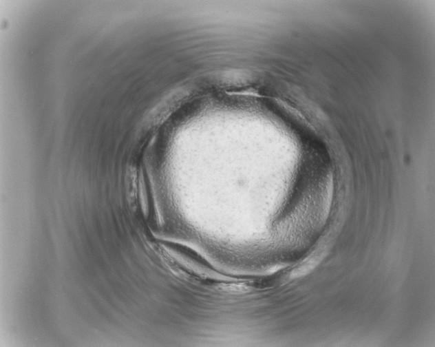 X0000054410528200508262300