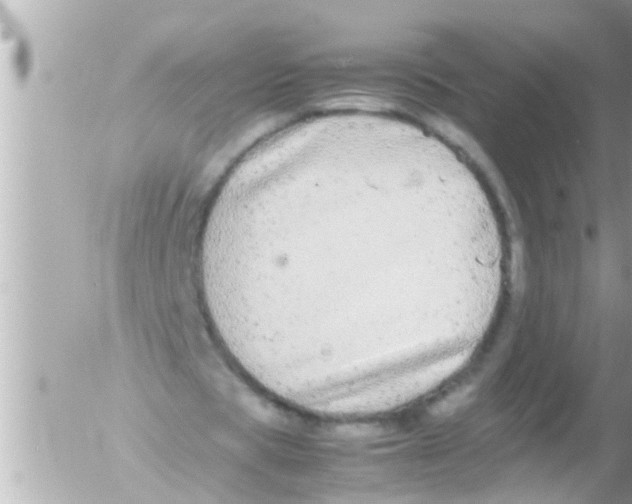 X0000054410529200508262259