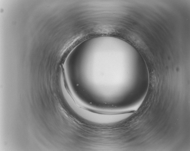 X0000054410544200508262259