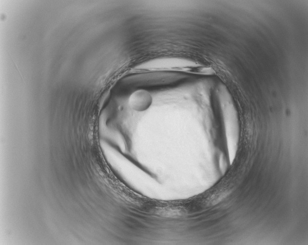 X0000054410545200508262259