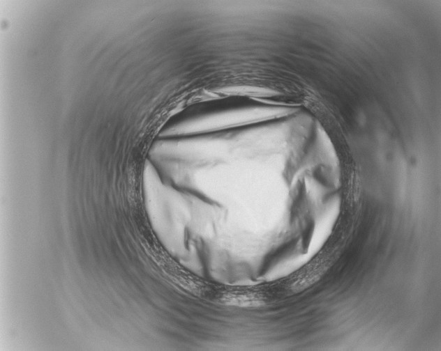 X0000054410557200508262259