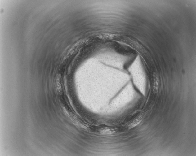 X0000054410616200508262258