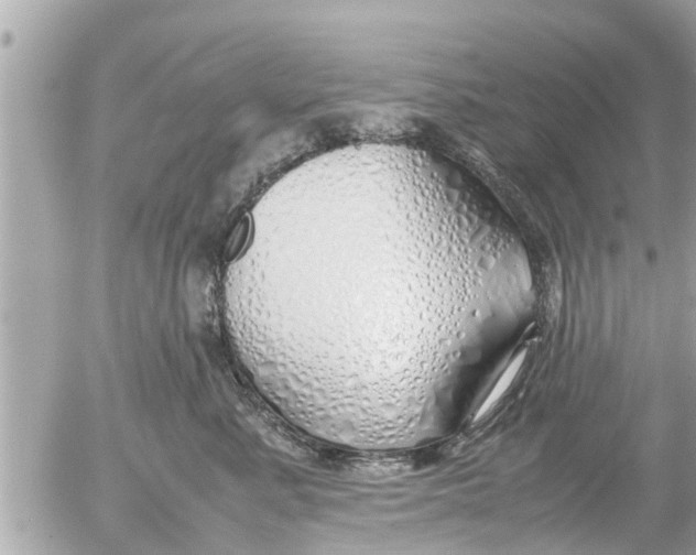 X0000054410619200508262258