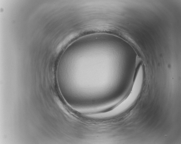 X0000054410677200508262257
