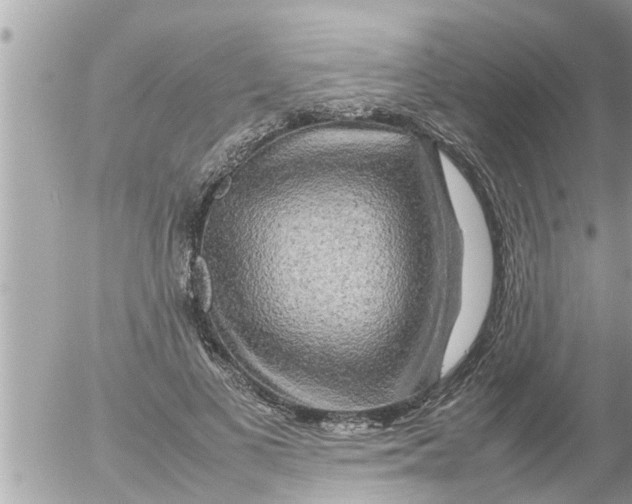 X0000054410693200508262257