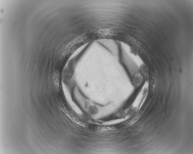 X0000054410710200508262257