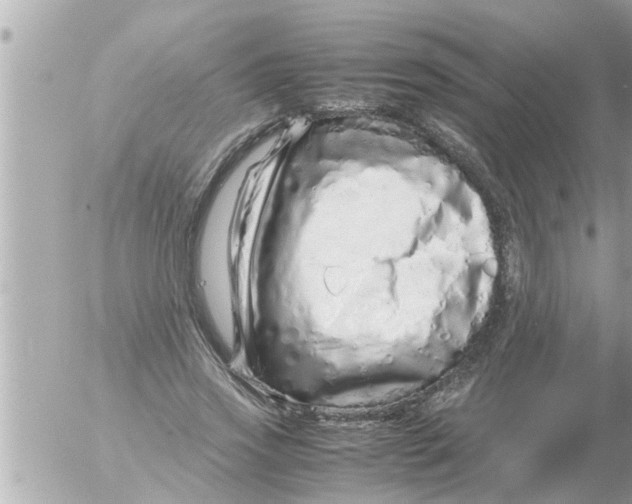 X0000054410733200508262256