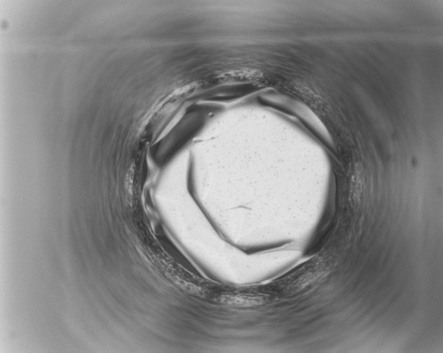 X0000054410739200508262256