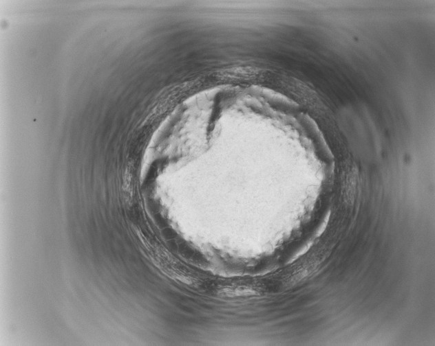 X0000054410749200508262256