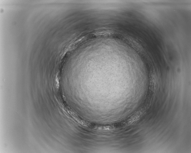 X0000054410751200508262256