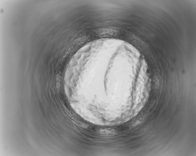 X0000054410753200508262256