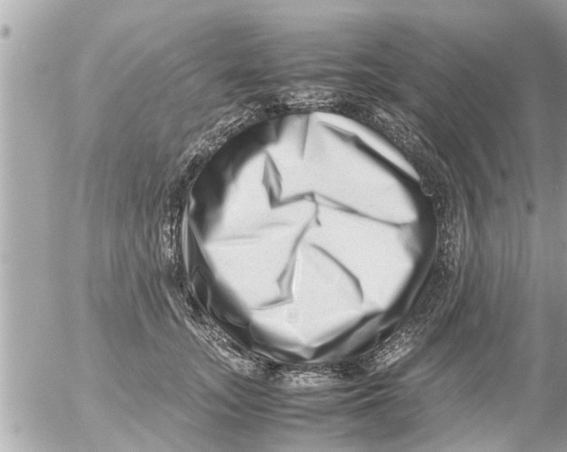 X0000054410755200508262256