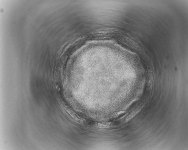 X0000054410758200508262256