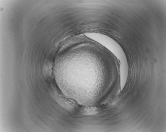 X0000054410767200508262256