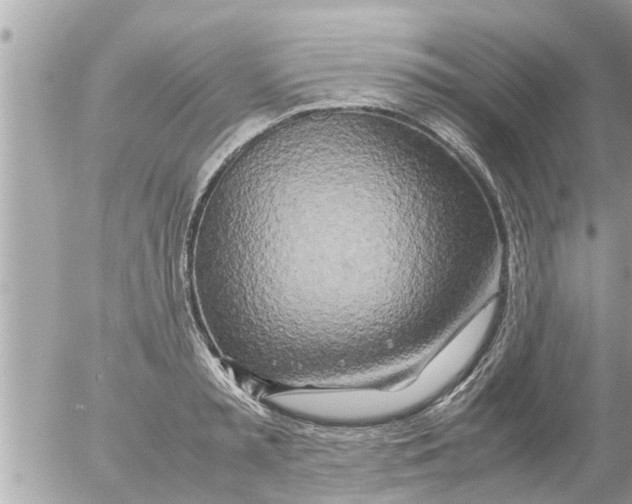X0000054410797200508262255