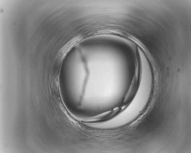 X0000054410809200508262255