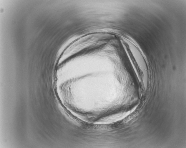 X0000054410811200508262255