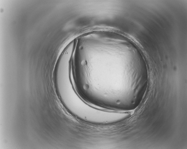 X0000054410891200508262254