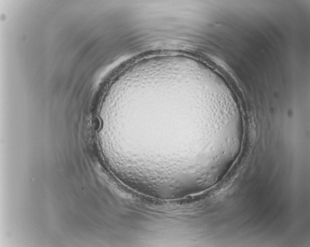 X0000054410971200508262252