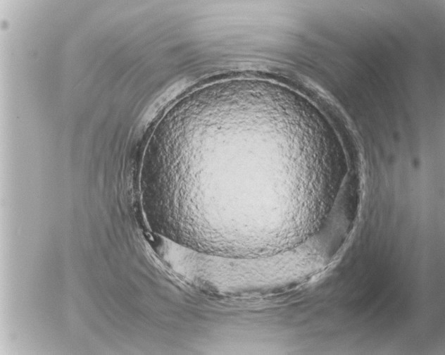 X0000054410977200508262252
