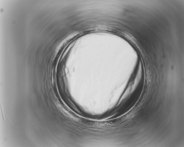 X0000054410987200508262252