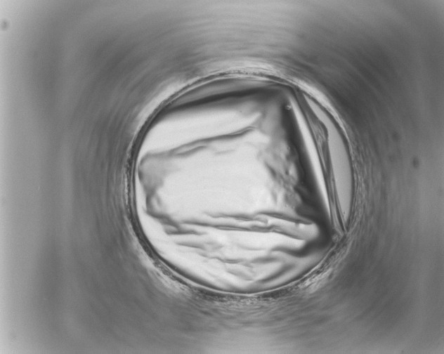 X0000054410999200508262252