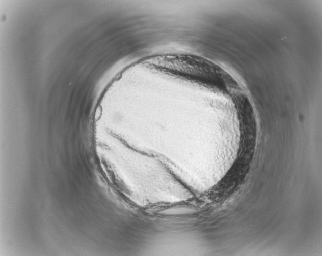 X0000054411008200508262252