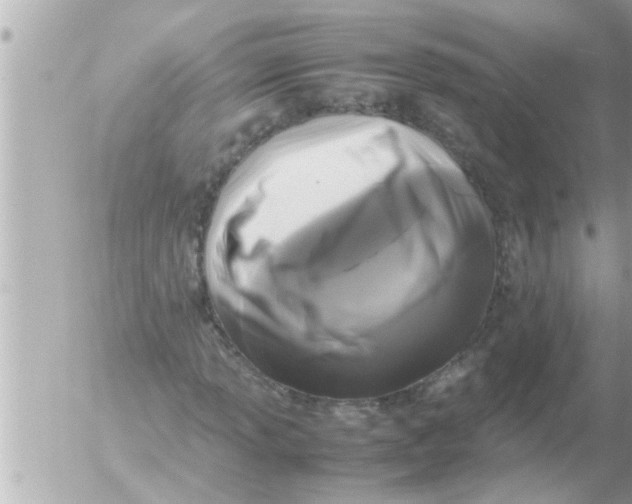 X0000054411013200508262251