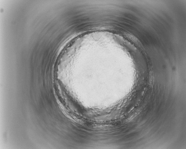 X0000054411039200508262251