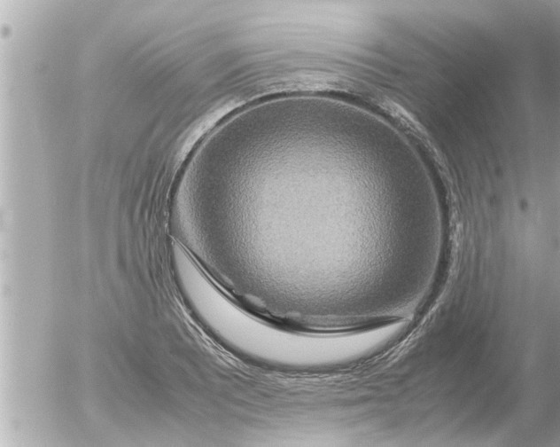 X0000054411081200508262251
