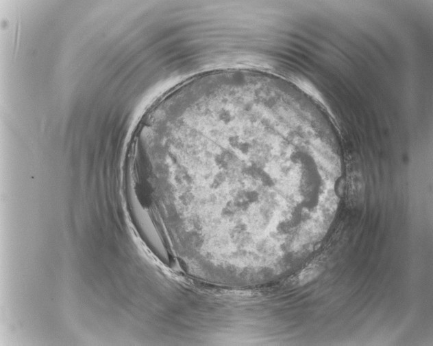 X0000054411088200508262250