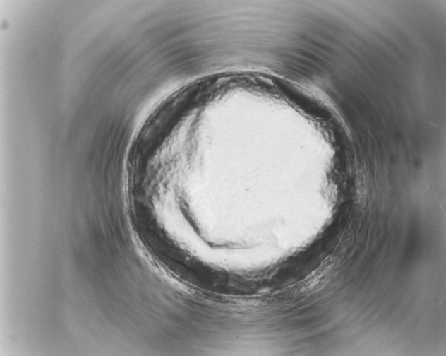 X0000054411096200508262250