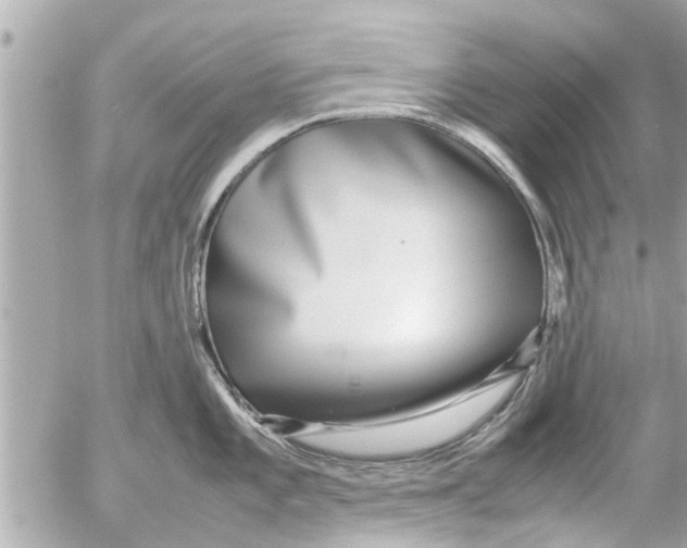 X0000054411101200508262250