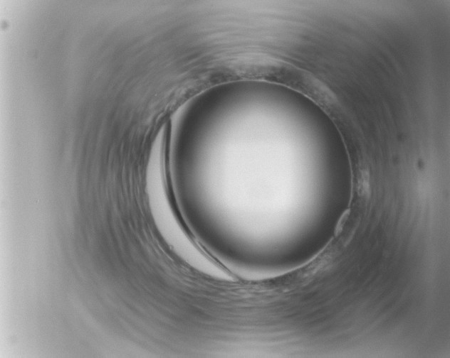 X0000054411108200508262249