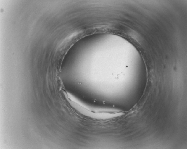 X0000054411111200508262249
