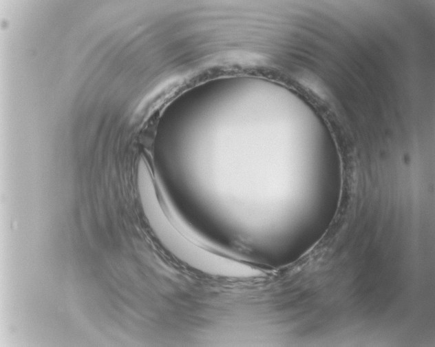 X0000054411112200508262249