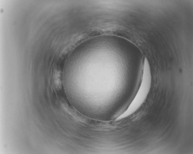 X0000054411156200508262249