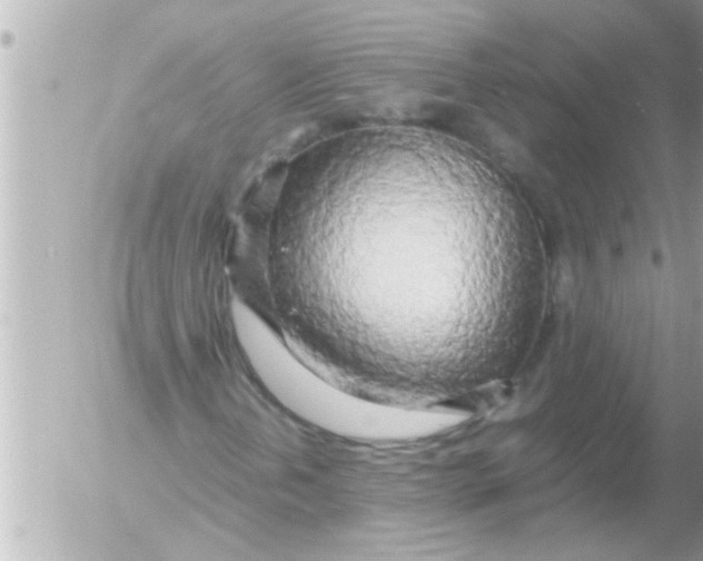 X0000054411202200508262248